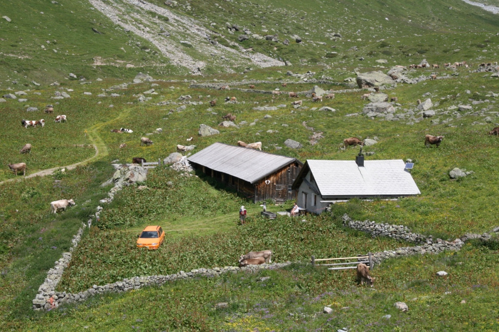 abb2neu_furrer2012.jpg