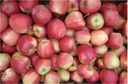 Äpfel.jpg