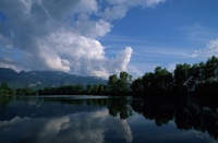A10105.jpg