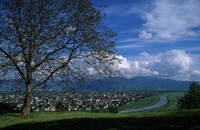 A10121.jpg