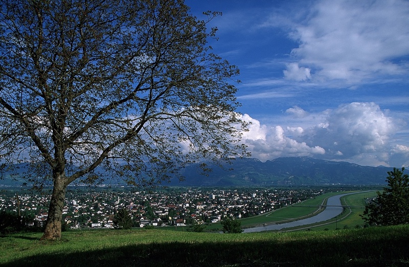 A10121.jpg