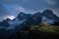 A10125.jpg