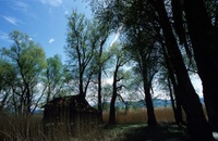 A10166.jpg