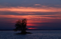 A10168.jpg
