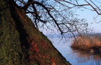 A10169.jpg