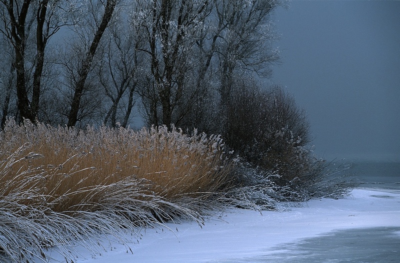 A10170.jpg