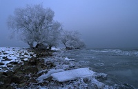 A10173.jpg