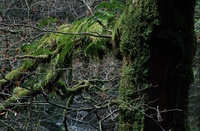 A10198.jpg