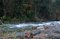 A10199.jpg