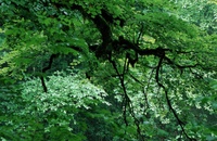 A10205.jpg