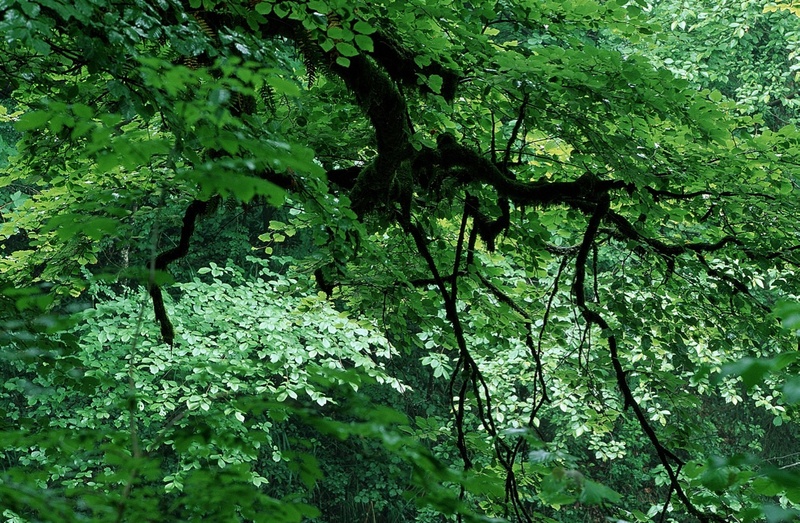 A10205.jpg