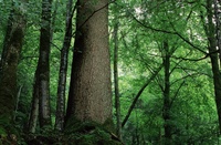 A10206.jpg