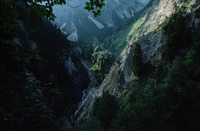 A10207.jpg