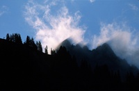 A10208.jpg