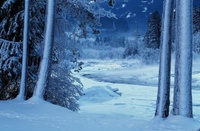 A10220.jpg