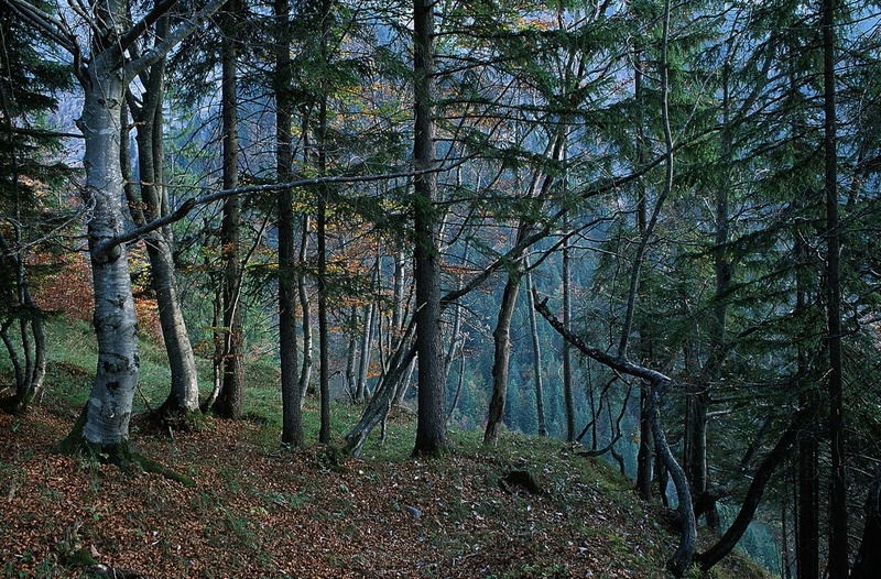 A10226.jpg