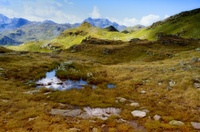 Bearbeitet-2.jpg