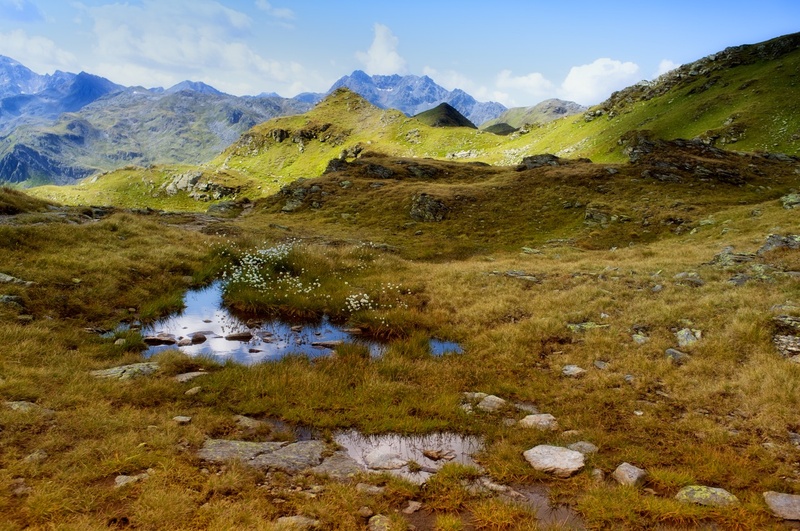 Bearbeitet-2.jpg