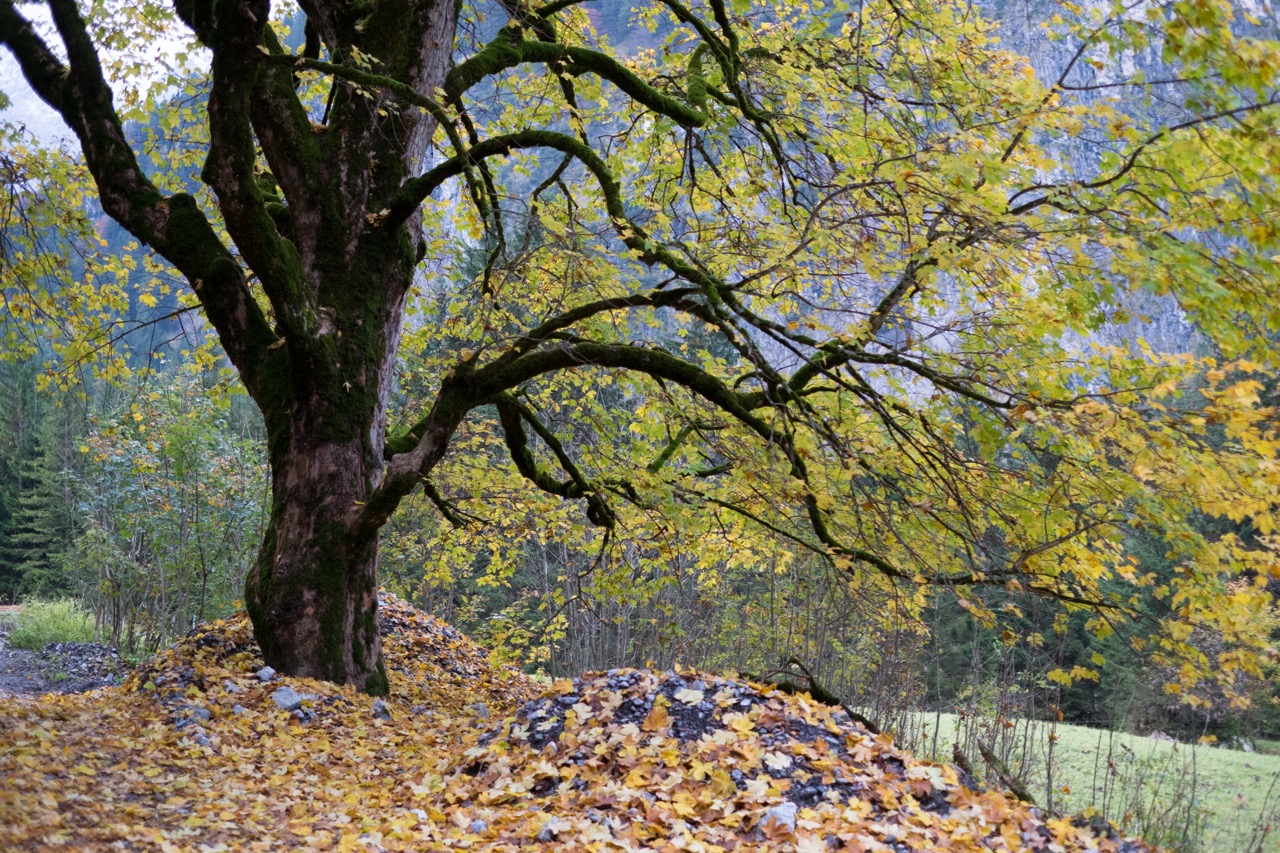 DSCF1072.jpg