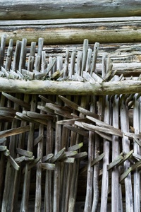 DSCF1090.jpg