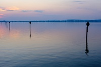 DSCF1490.jpg