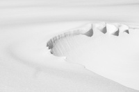 DSCF1901.jpg