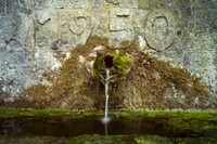 DSCF2262.jpg