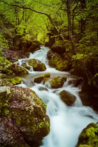 DSCF4376.jpg