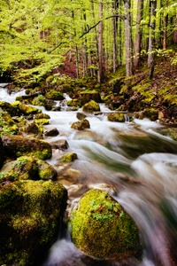 DSCF4382.jpg