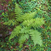 DSF0649.jpg