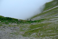DSF3456.jpg