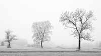 DSF3860-Bearbeitet.jpg