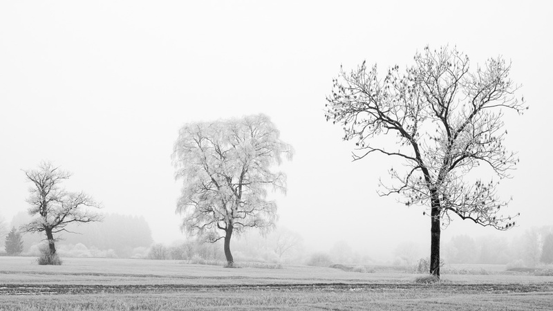 DSF3860-Bearbeitet.jpg