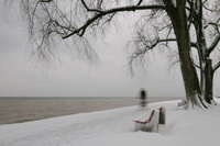 DSXT2249.jpg
