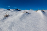 jam2010-0147.jpg