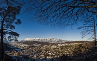 jam2010-1.jpg
