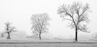 header1.png