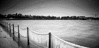 header10.png