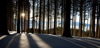 header2.png