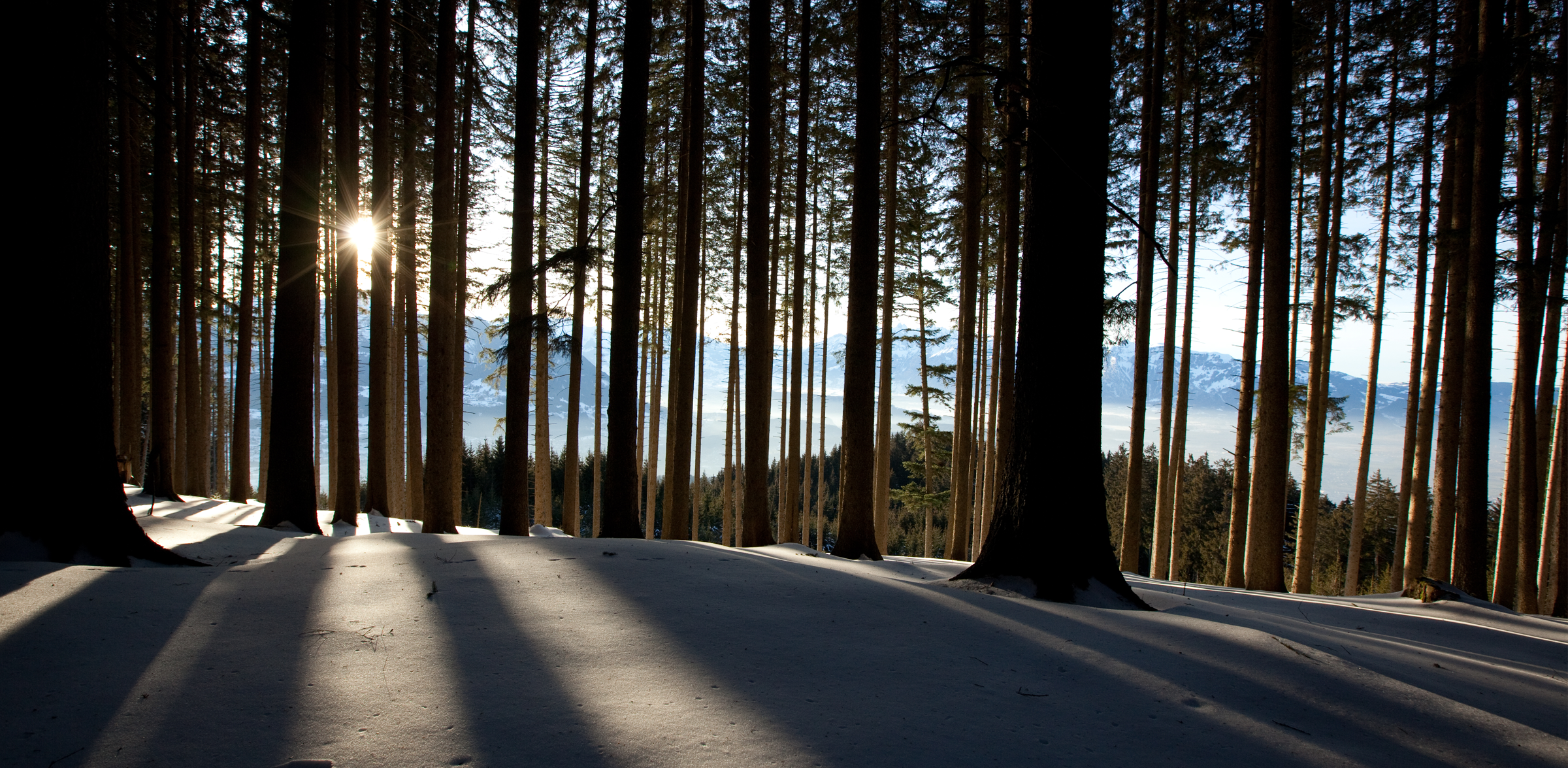 header2.png