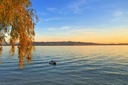 Herbstbild Bodensee pixabay.jpg