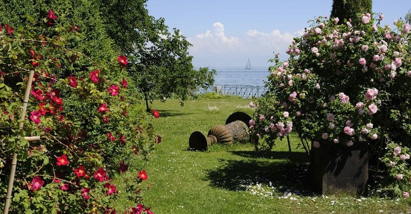 Stiegeler Park Konstanz ©Nina Baisch_Titelbild.jpg