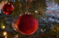 christmas-tree-6870755-Bild von Frauke Riether auf Pixabay.jpg