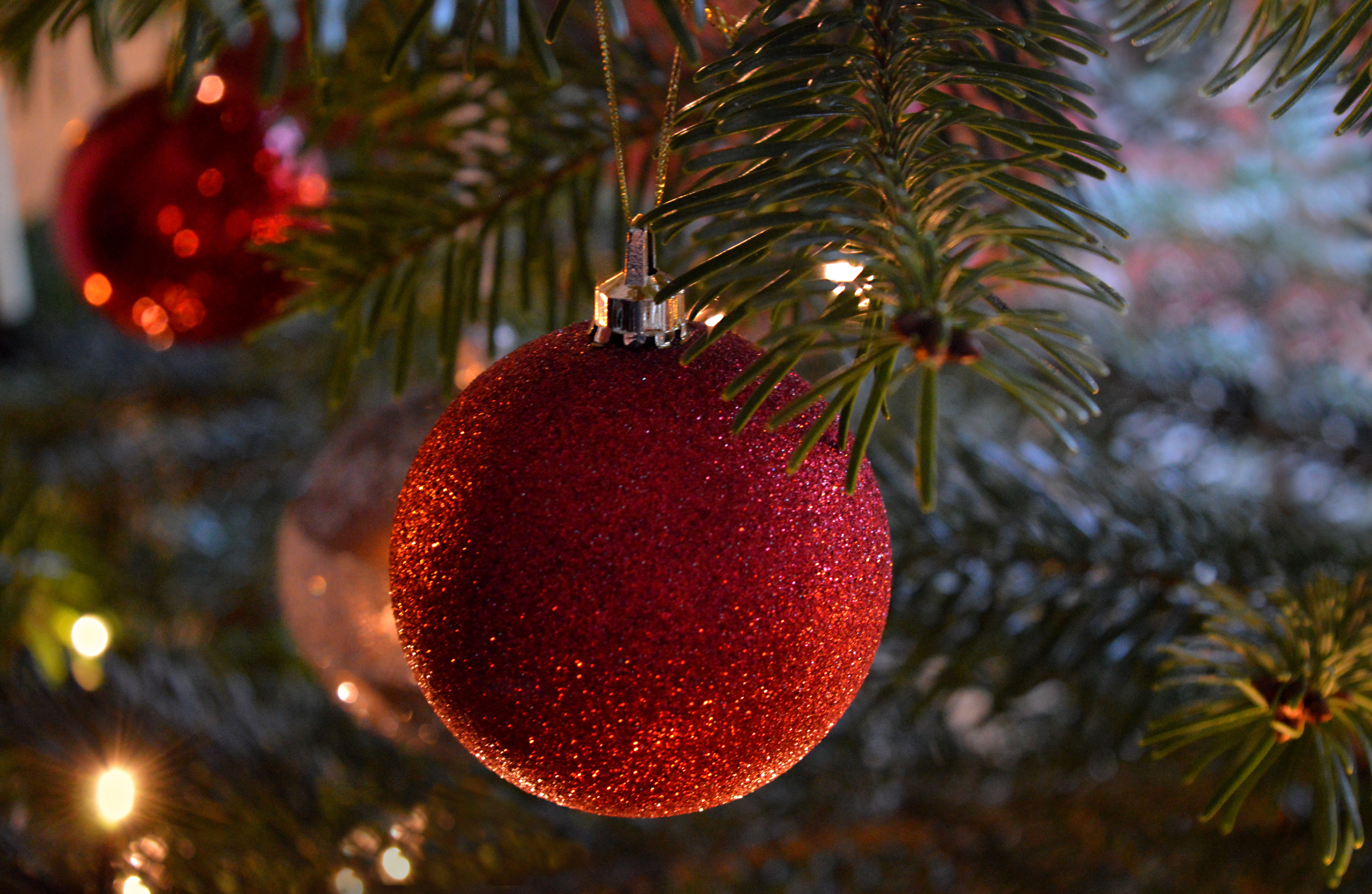 christmas-tree-6870755-Bild von Frauke Riether auf Pixabay.jpg
