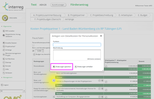 E01 03 Budgeteingabe Detailkosten.png