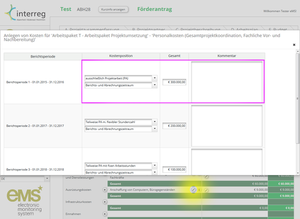 E01 04 Budgeteingabe Detailkosten.png