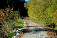 Grenzüberschreitender Radrundweg rund um die Nagelfluhkette – Baumaßnahme (Allgäu – Bregenzerwald) - (#186)