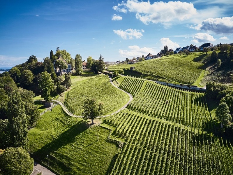 Garten und Wein – Biodiversität im Weingarten