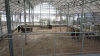 Begehung Landesgartenschaugelände in Überlingen