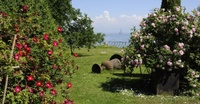 Bodenseegärten-Preisverleihung 2018